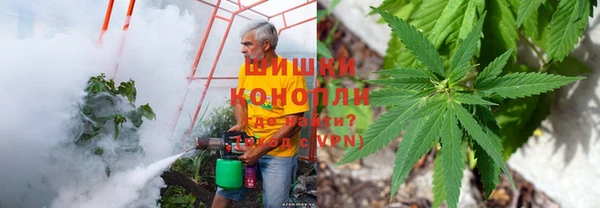 прущие крисы Белокуриха