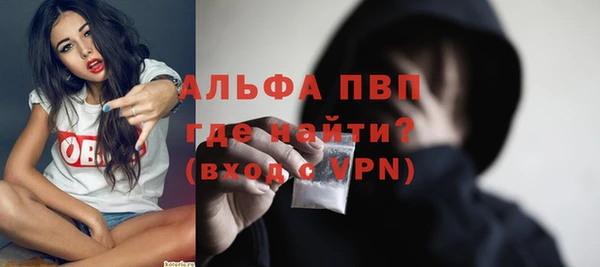 индика Богородицк