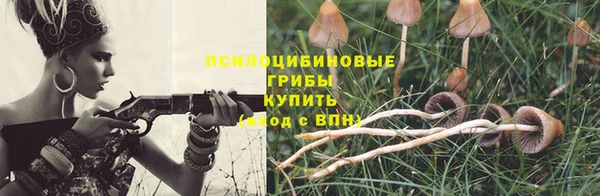 прущие крисы Белокуриха