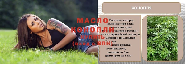 индика Богородицк