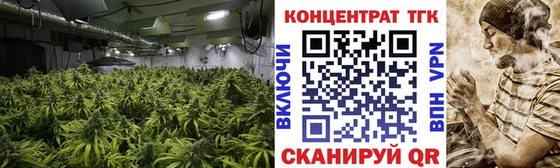 Купить где  Жуковский  ТГК THC oil 